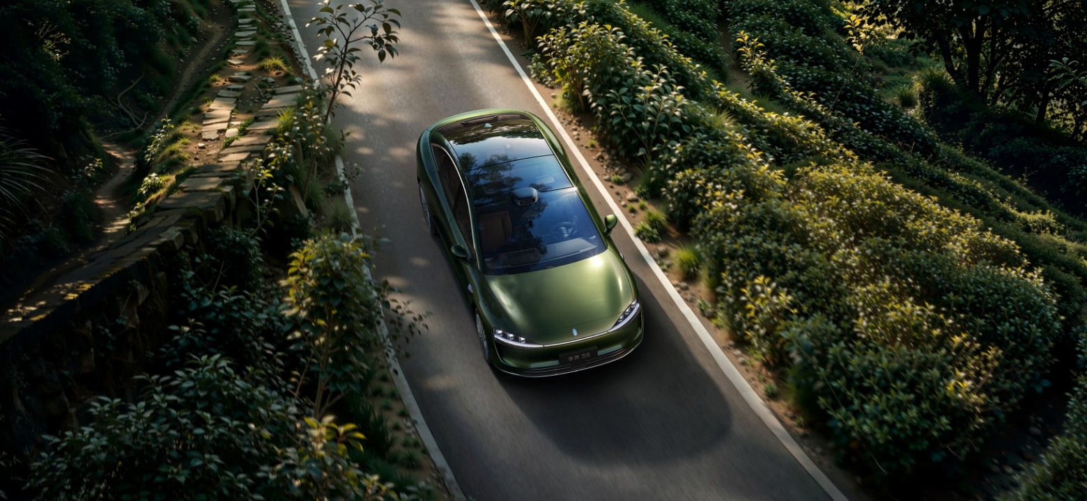 Stelato S9 Pure Electric Battery
